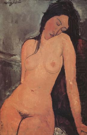 Nude (nn03), Amedeo Modigliani